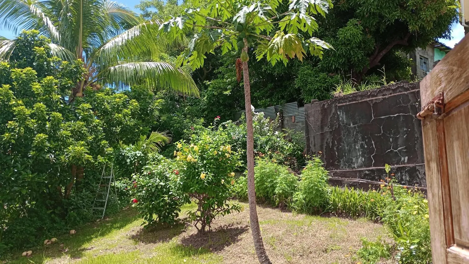 Garifuna Retreat Apartment キングスタウン セントビンセントおよびグレナディーン諸島